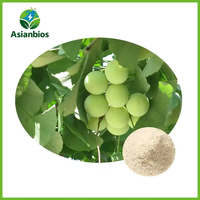 Ginkgo Seed Powder